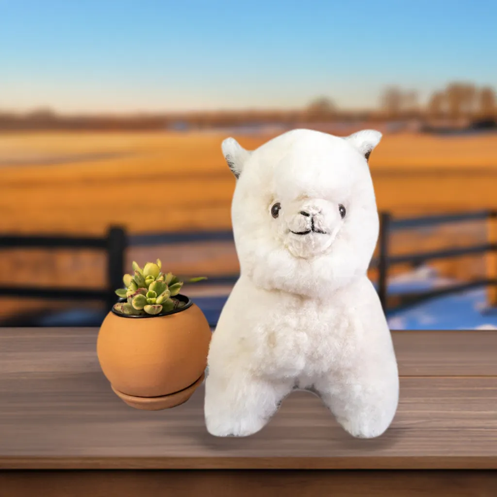 Alpaca Cartoon Stuffy