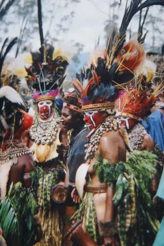 Bilas Melomelo Tribal Bailer, Cymbium Shell Called Gam by the Primitive Mendi Tribe’s “Big Men” that wear them as Penis cover & pectoral Adornment, Currency, Bride Price, Collected in late 1900’s, Southern Highlands, Papua New Guinea BAL2