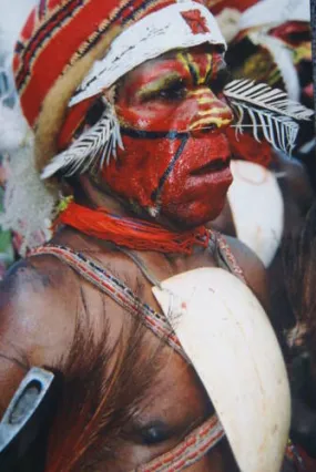 Bilas Melomelo Tribal Bailer, Cymbium Shell Called Gam by the Primitive Mendi Tribe’s “Big Men” that wear them as Penis cover & pectoral Adornment, Currency, Bride Price, Collected in late 1900’s, Southern Highlands, Papua New Guinea BAL2