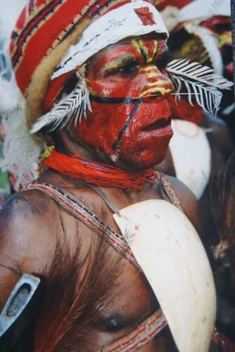 Bilas Melomelo Tribal Bailer, Cymbium Shell Called Gam by the Primitive Mendi Tribe’s “Big Men” that wear them as Penis cover & pectoral Adornment, Currency, Bride Price, Collected in late 1900’s, Southern Highlands, Papua New Guinea BAL2