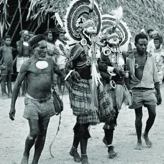 Bilas Melomelo Tribal Bailer, Cymbium Shell Called Gam by the Primitive Mendi Tribe’s “Big Men” that wear them as Penis cover & pectoral Adornment, Currency, Bride Price, Collected in late 1900’s, Southern Highlands, Papua New Guinea BAL2