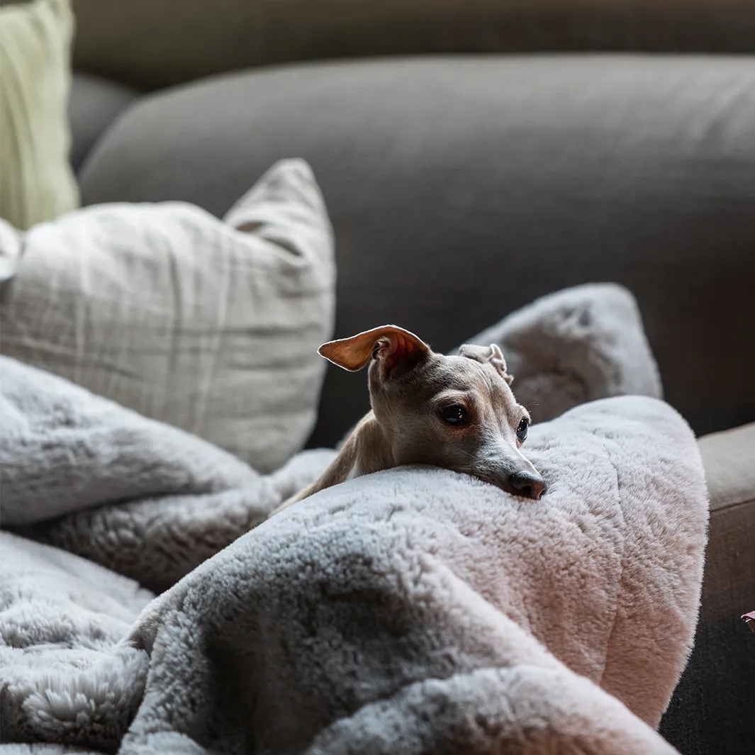 Faux-Fur Dog Blanket in Silver Mink