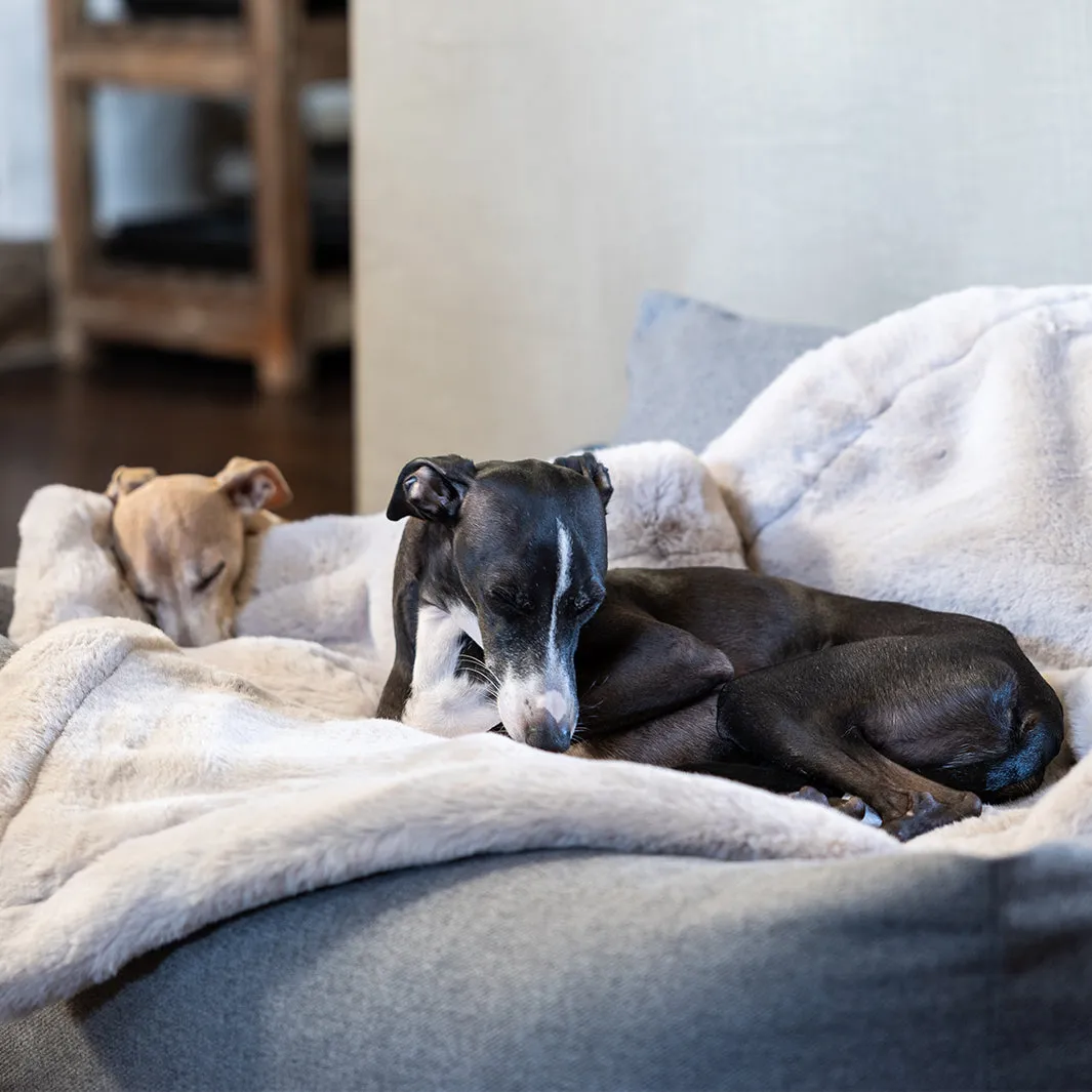 Faux-Fur Dog Blanket in Silver Mink