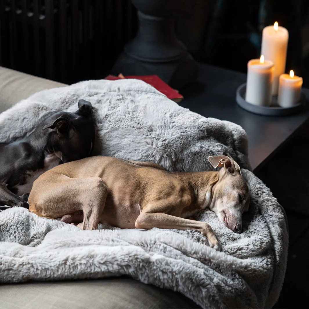 Faux-Fur Dog Blanket in Silver Mink