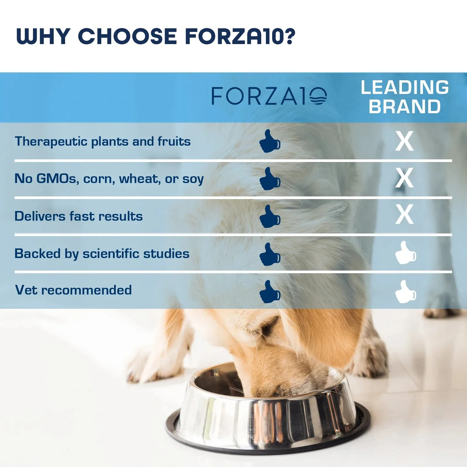 Forza 10 Renal Active Dog 8 lbs