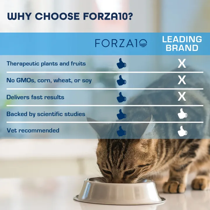 Forza10 NUTRACEUTIC ACTIVE KIDNEY DIET DRY CAT FOOD - RENAL SUPPORT