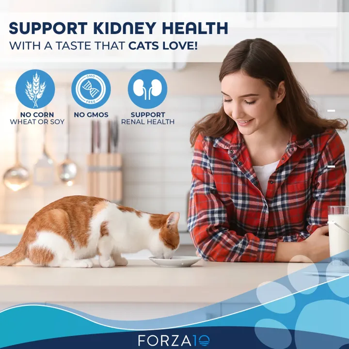 Forza10 NUTRACEUTIC ACTIVE KIDNEY DIET DRY CAT FOOD - RENAL SUPPORT