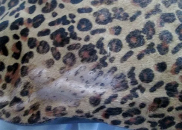 FOSSIL Shoulder Bag Cheetah LEOPARD FUR Satchel Tote Distressed Animal Print