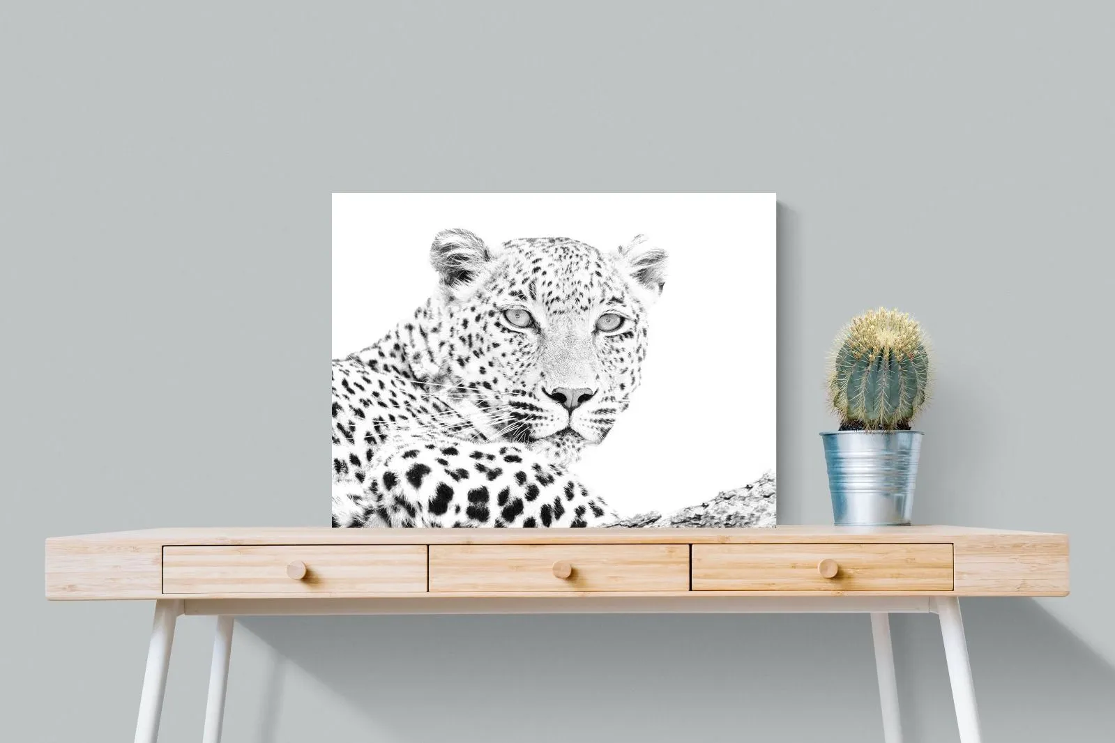 Leopard Whiteout