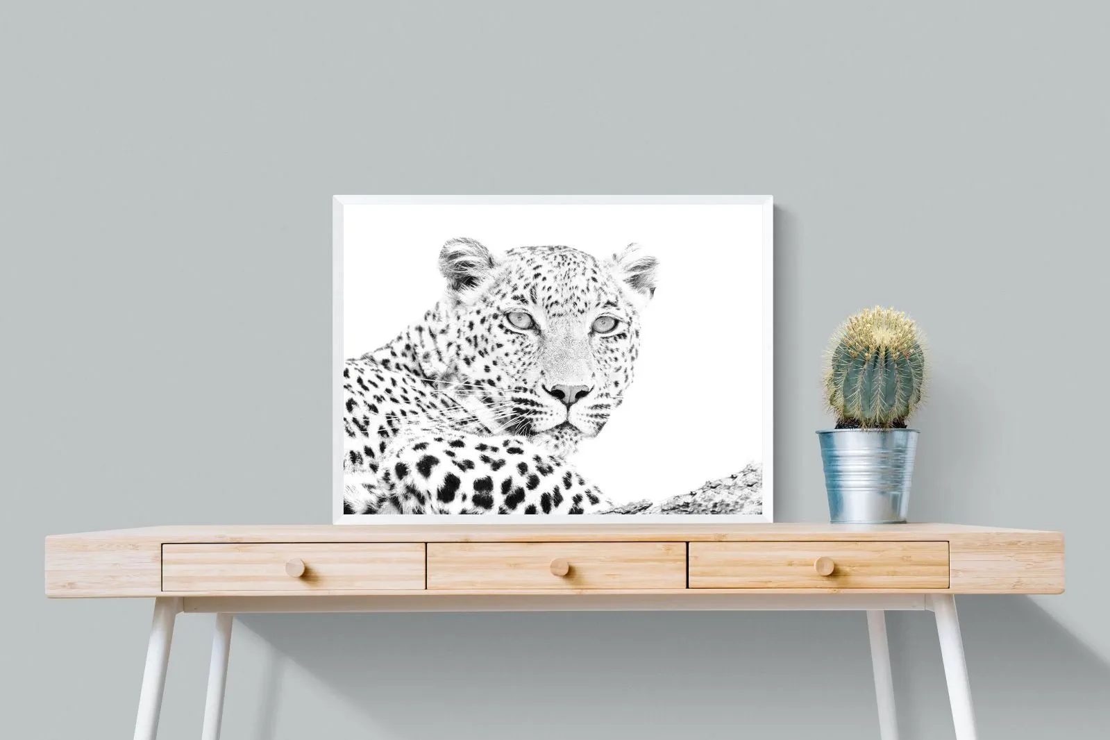 Leopard Whiteout