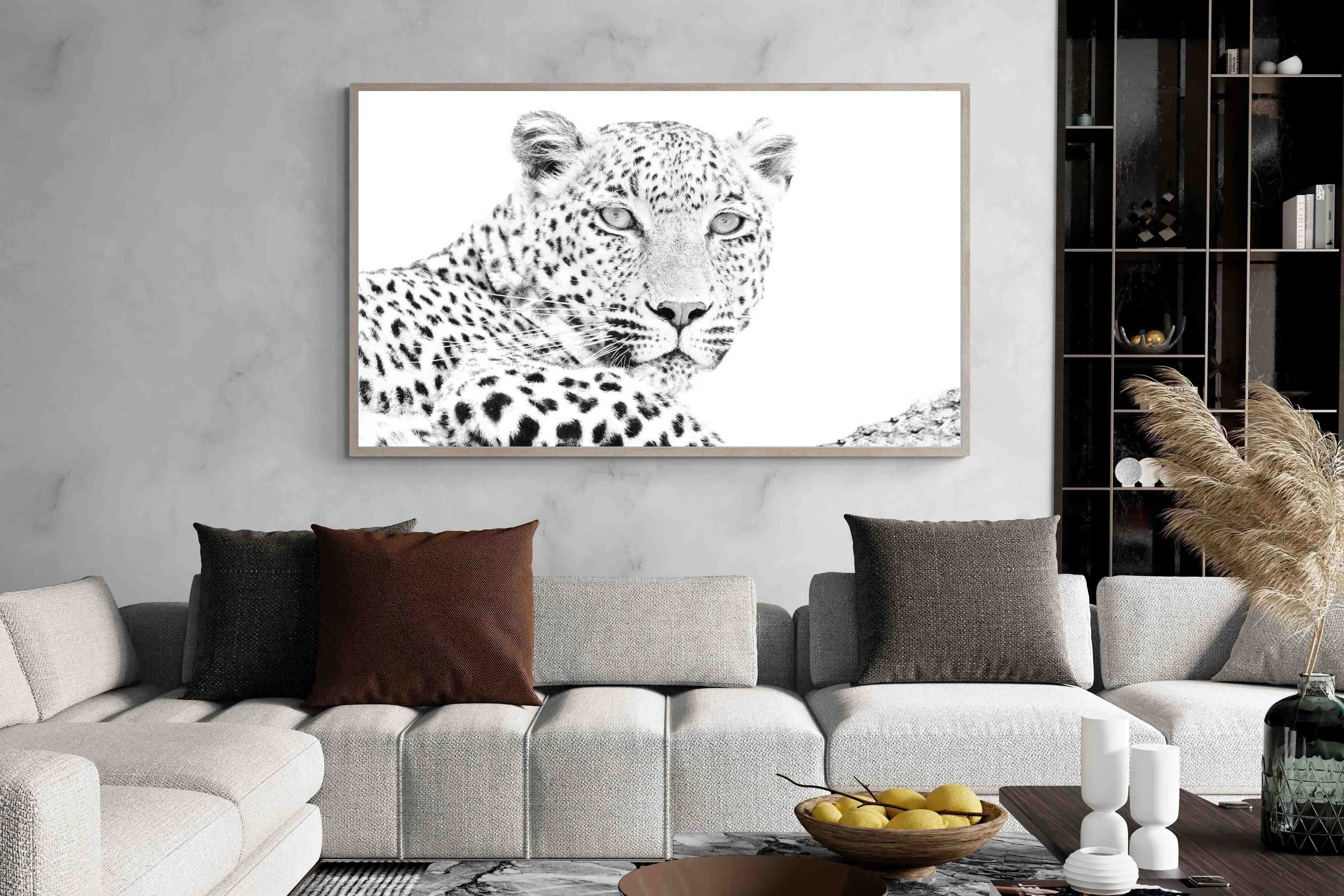 Leopard Whiteout