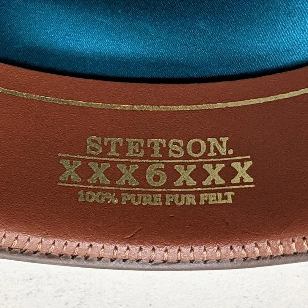 Stetson 6x Silverbelly Guadalupana