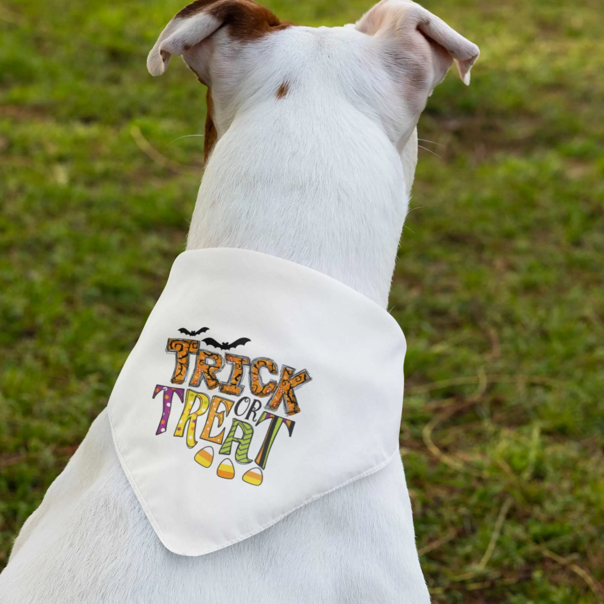 Trick or Treat Tie-On Pet Bandana with Candy and Bats