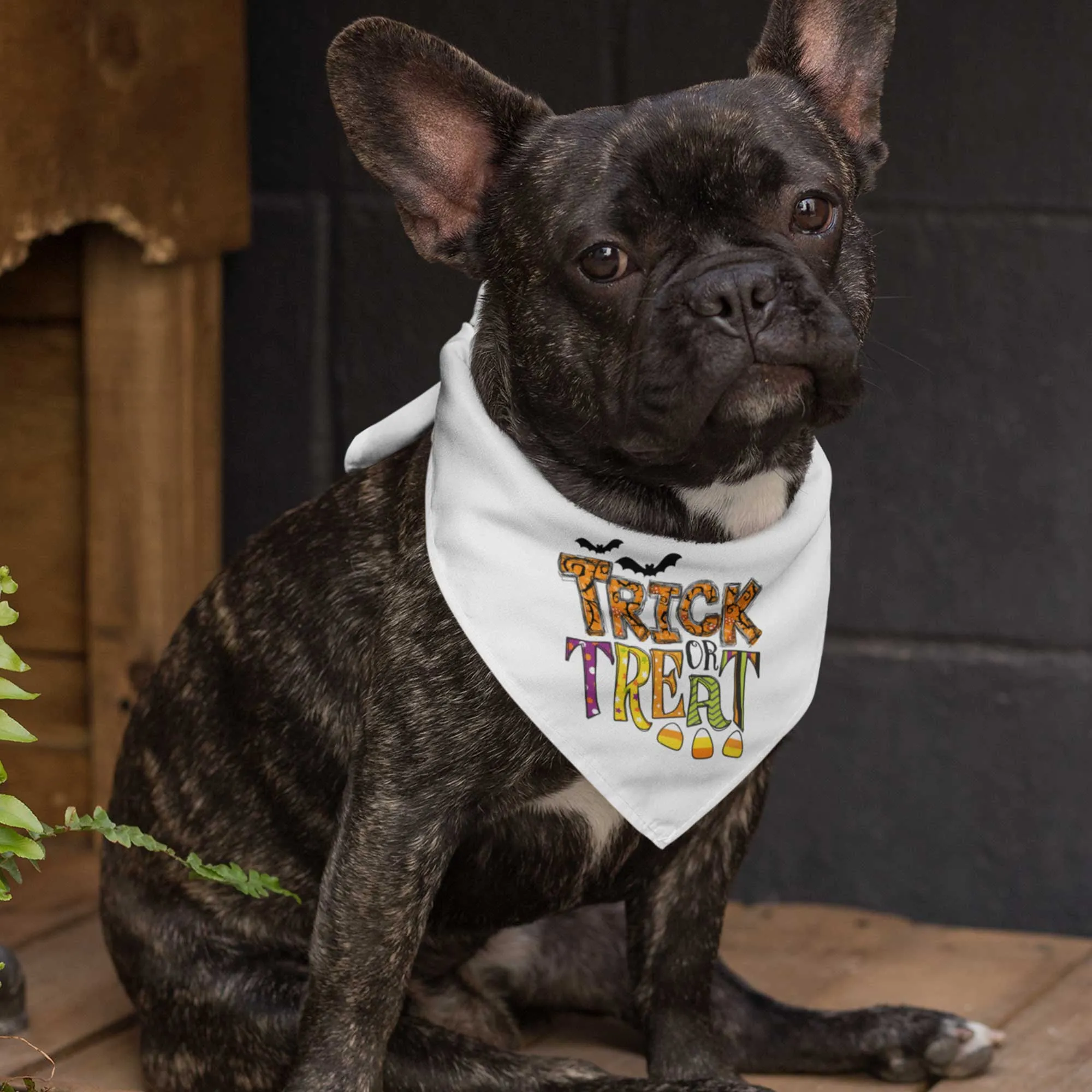 Trick or Treat Tie-On Pet Bandana with Candy and Bats