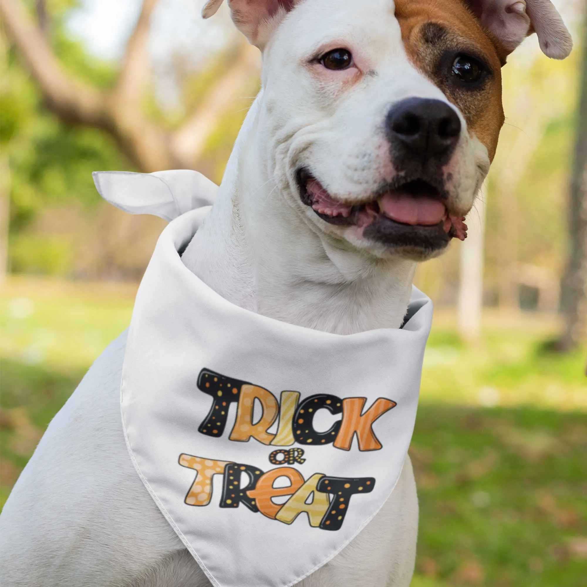 Trick or Treat Tie-On Pet Bandana