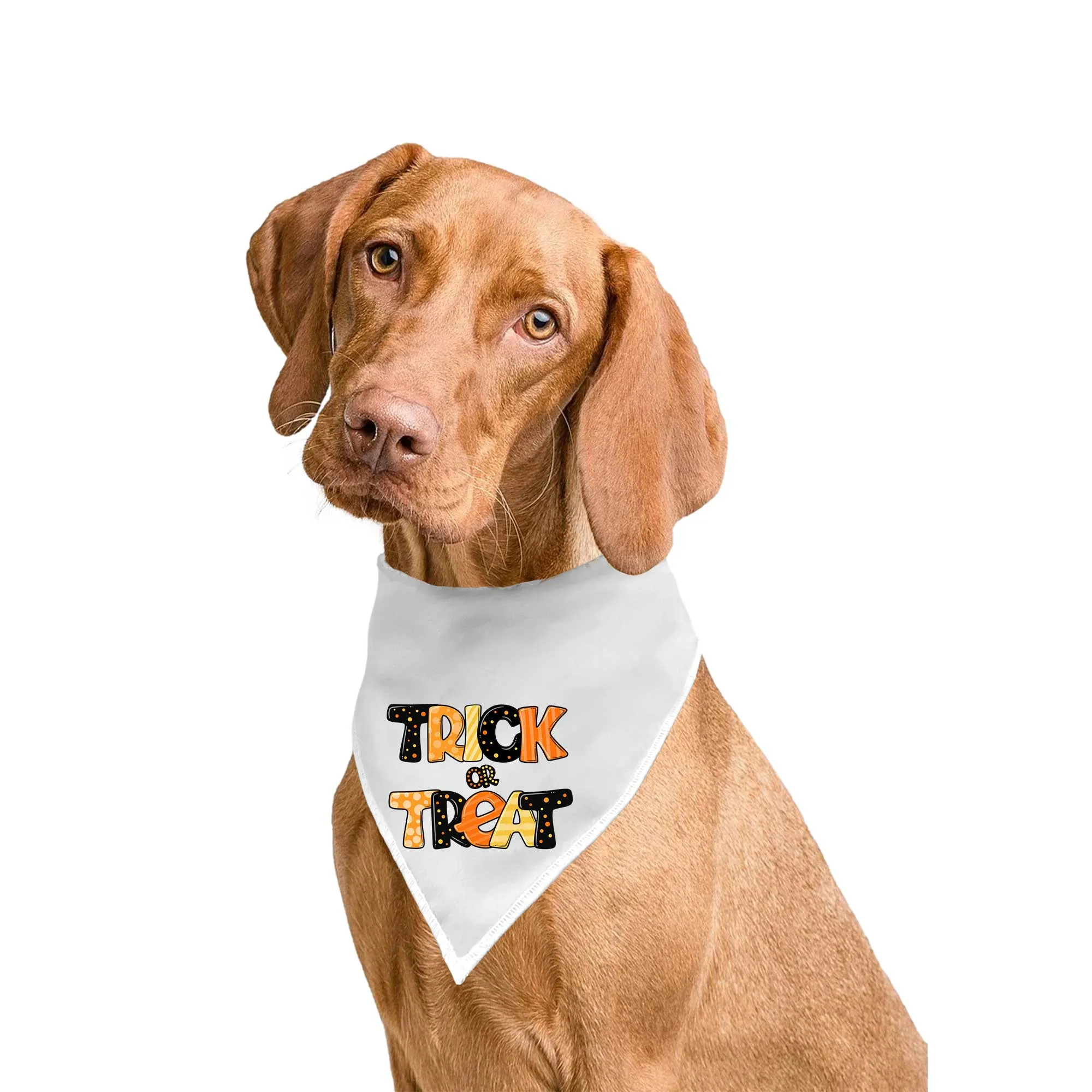 Trick or Treat Tie-On Pet Bandana