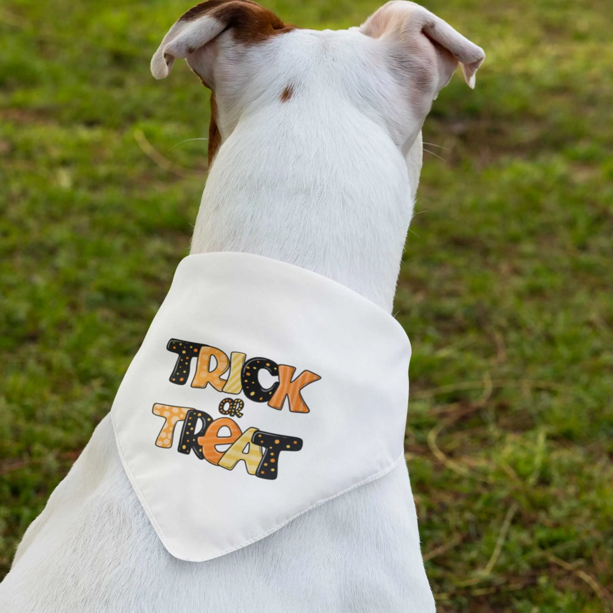 Trick or Treat Tie-On Pet Bandana