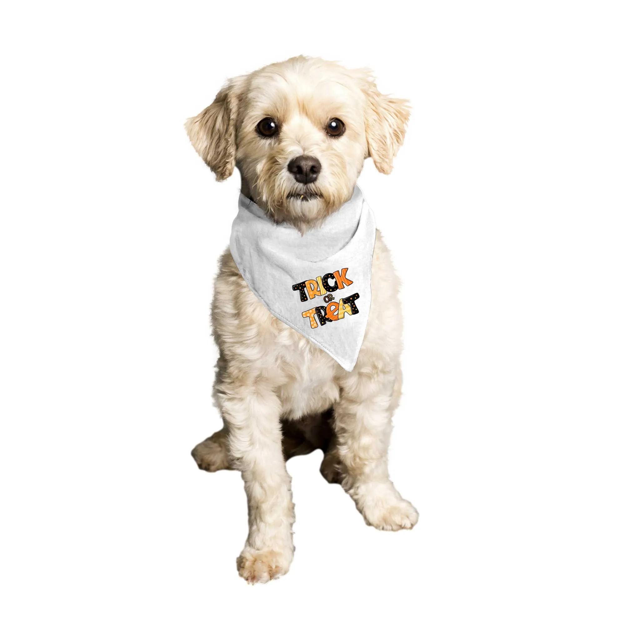 Trick or Treat Tie-On Pet Bandana