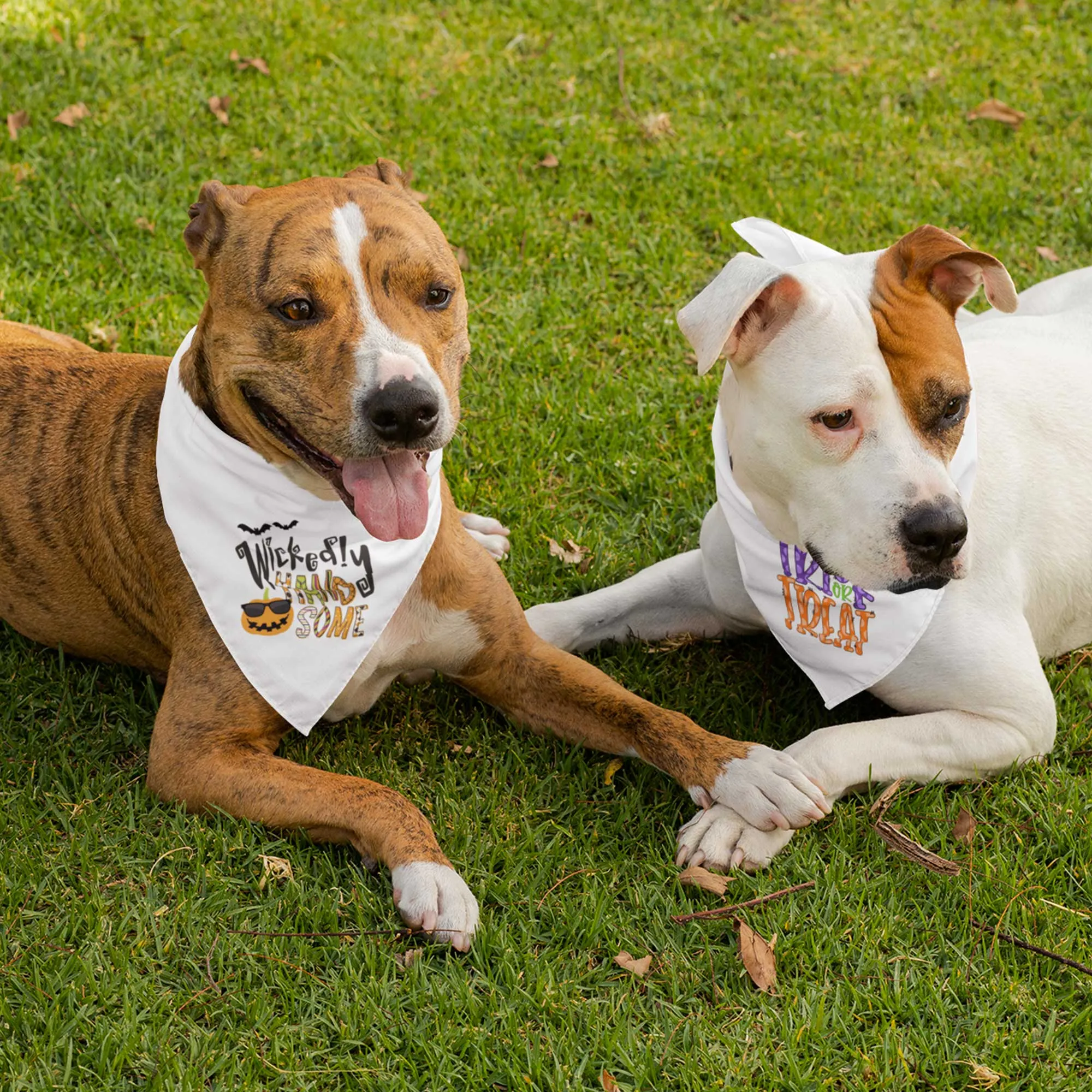 Wickedly Handsome Tie-On Pet Bandana