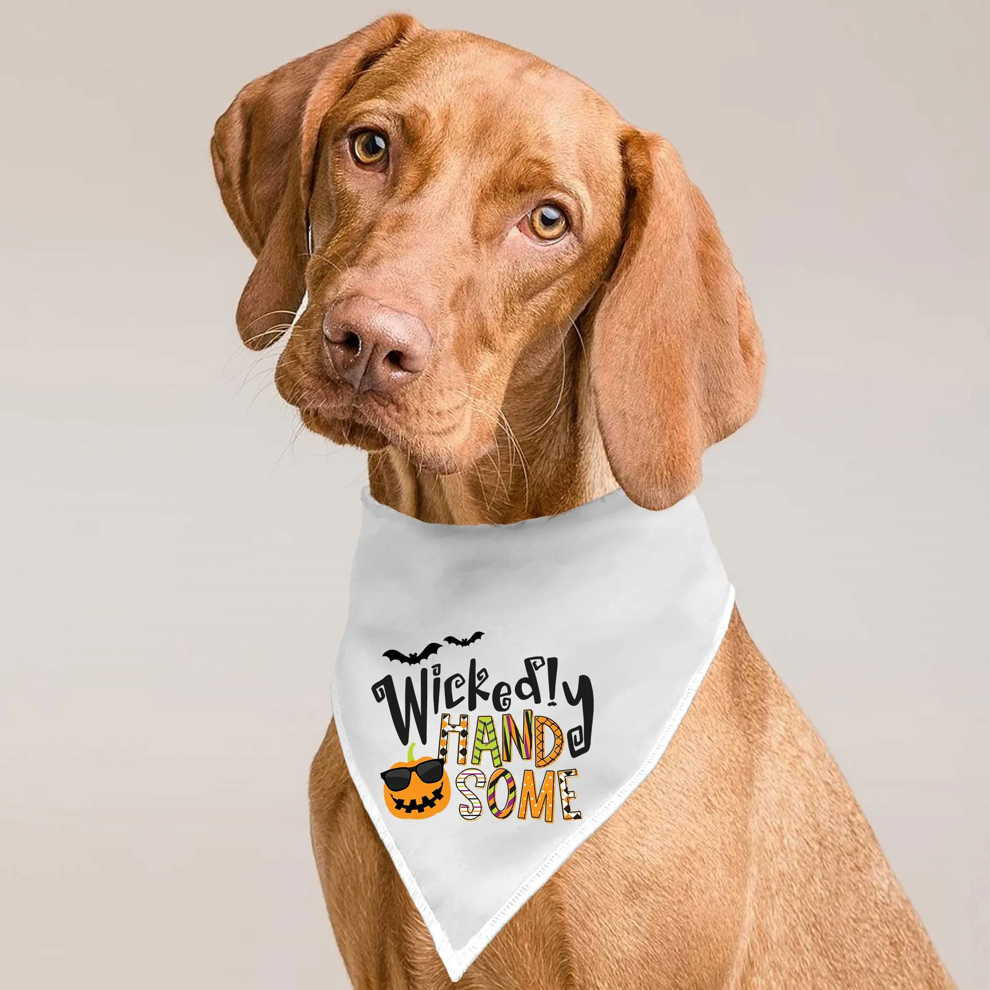 Wickedly Handsome Tie-On Pet Bandana