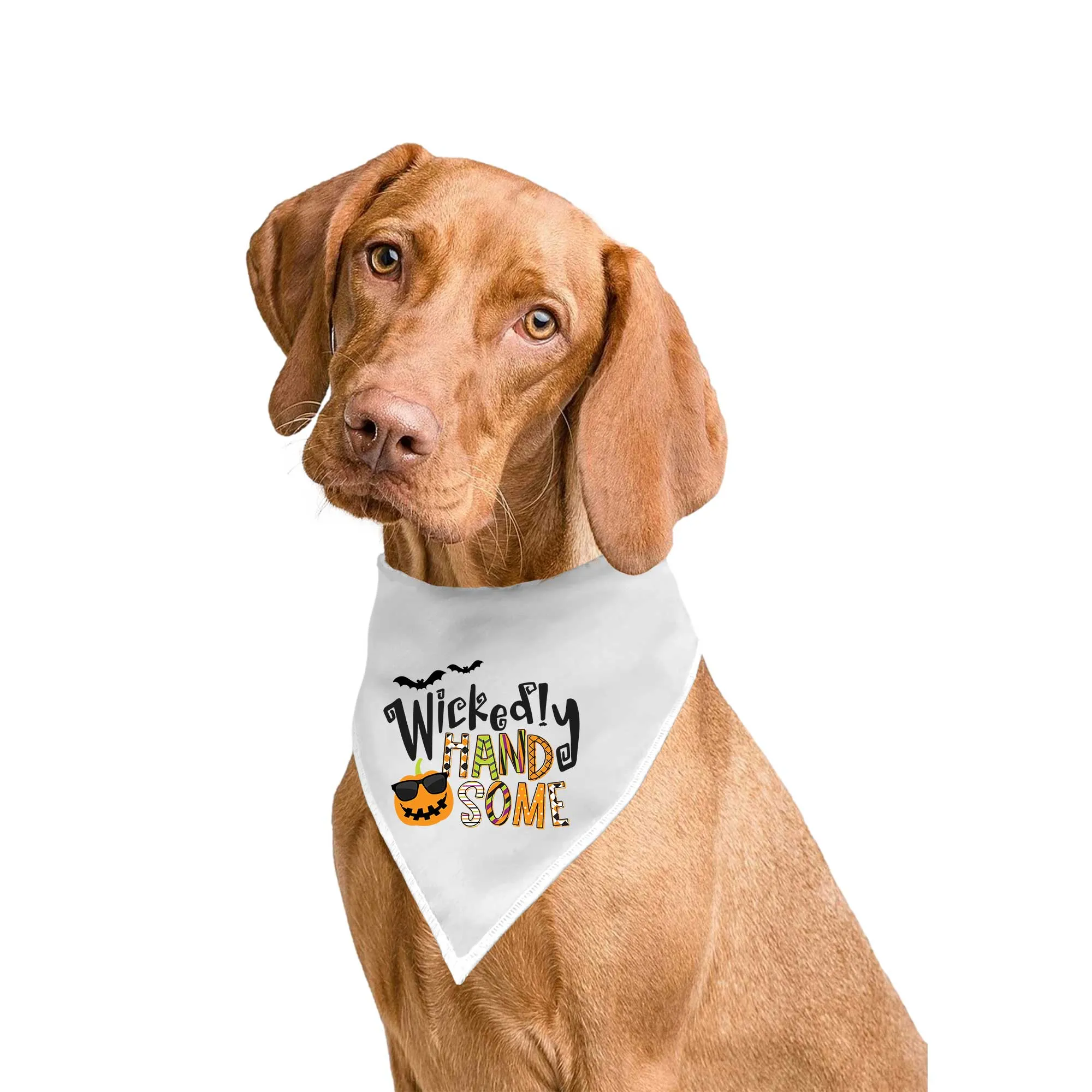 Wickedly Handsome Tie-On Pet Bandana