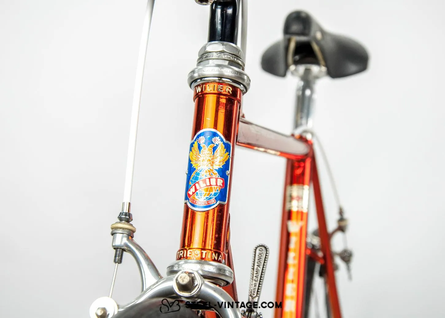 Wilier Triestina Ramata 1987 Classic Bicycle